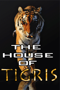 House-of-Tigris-GIF-5A